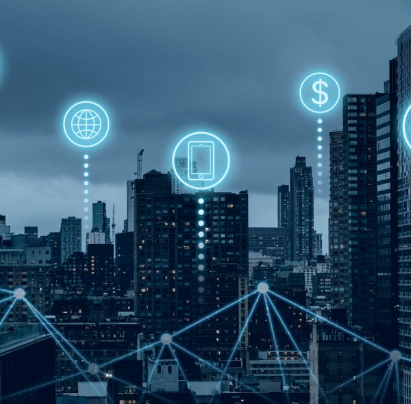 관공서 정보화장비, 학내망 유지보수